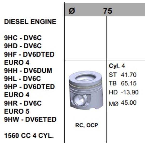 SUBCONJ.PEUGEOT DV6C 8V. STD